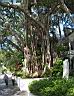 key west - strom.jpg